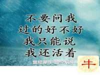 寂墓(沭阳)商贸有限公司