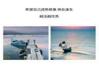 寂墓(沭阳)商贸有限公司
