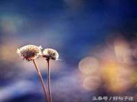 寂墓(沭阳)商贸有限公司