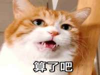 寂墓(沭阳)商贸有限公司