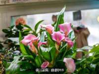 寂墓(沭阳)商贸有限公司