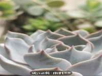寂墓(沭阳)商贸有限公司