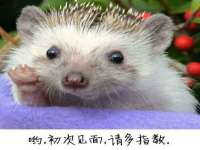 寂墓(沭阳)商贸有限公司