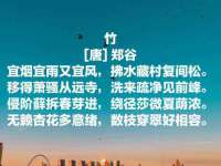 寂墓(沭阳)商贸有限公司