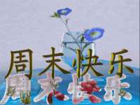 寂墓(沭阳)商贸有限公司
