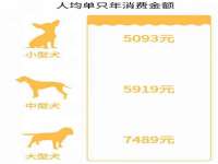 寂墓(沭阳)商贸有限公司