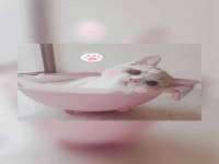 寂墓(沭阳)商贸有限公司