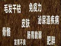 寂墓(沭阳)商贸有限公司