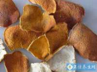 寂墓(沭阳)商贸有限公司