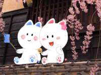 寂墓(沭阳)商贸有限公司