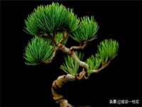 寂墓(沭阳)商贸有限公司